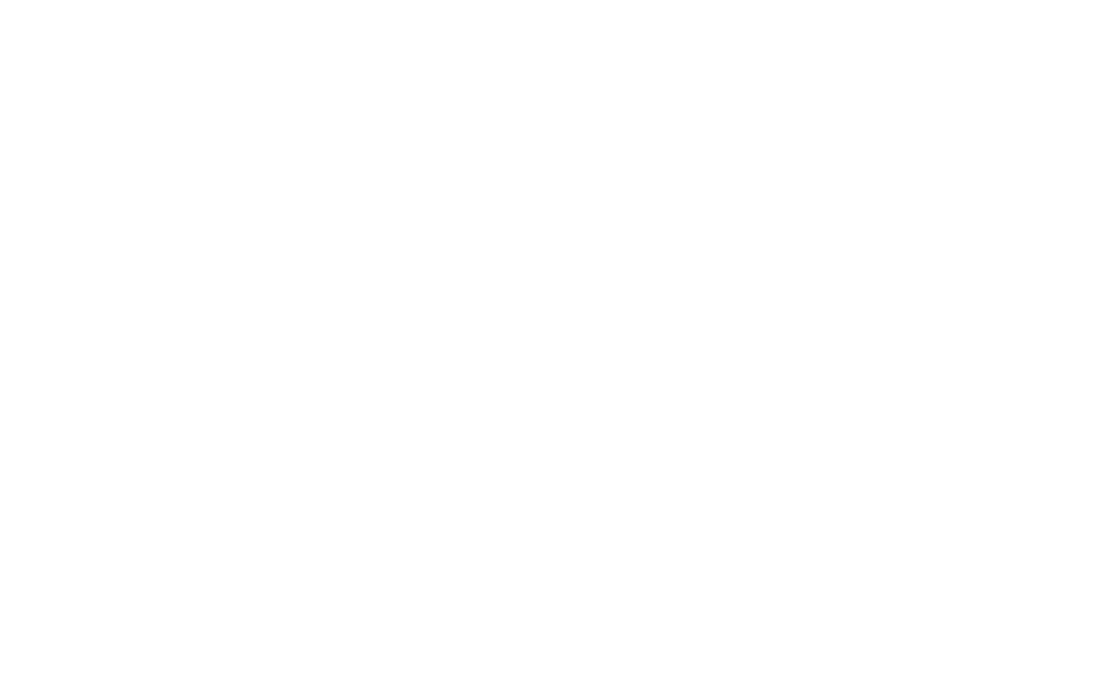 Main Logo